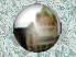 Soestbilder